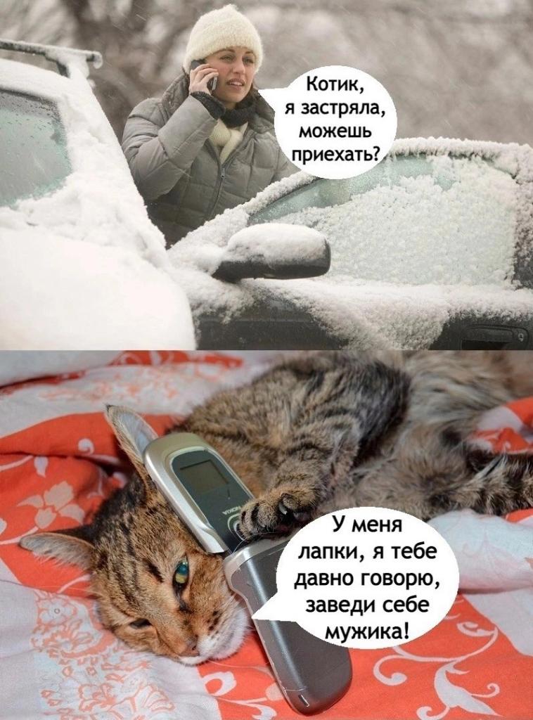 ЛенОчка tweet media
