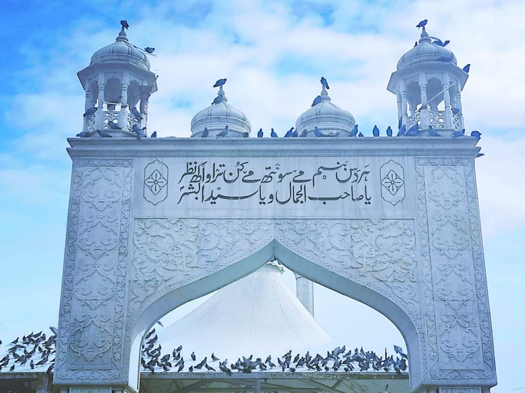 Lsaki257's tweet photo. My Autumn would turn into spring , If you would glance at me just once 
"O possessor of the beauty, O leader of the mankind " (pbuh)❤️
#Hazratbal  #Dargah https://t.co/jpx83vB6xO