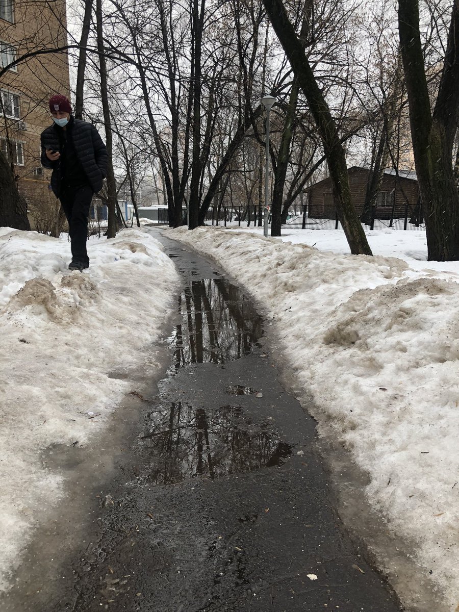 Варвара Плющ tweet media