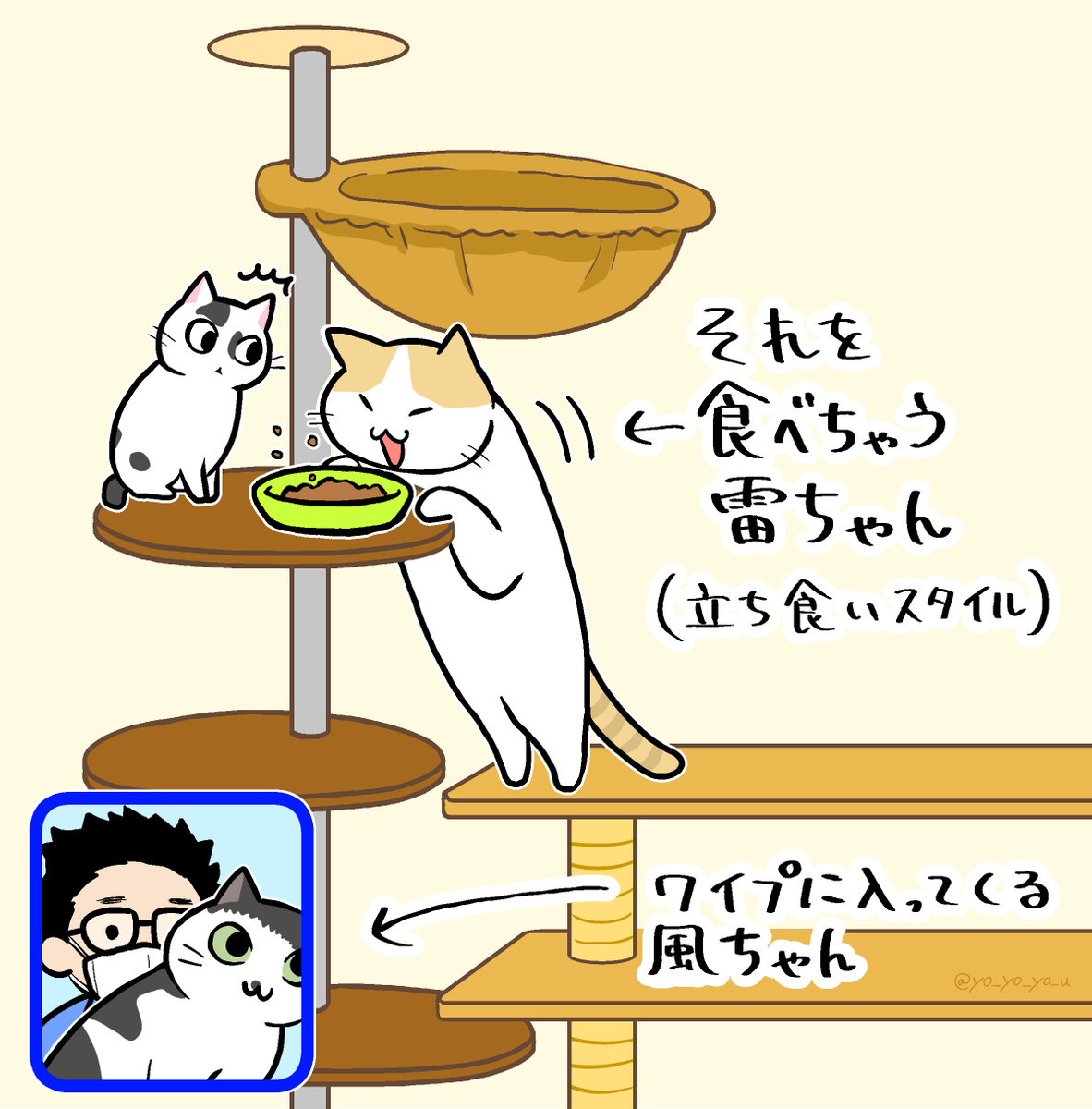 今週のサンシャイン池崎さんの保護猫コーナーも"良さ"しかありませんでしたが、その内のひとつ
#みんなのどうぶつ園 