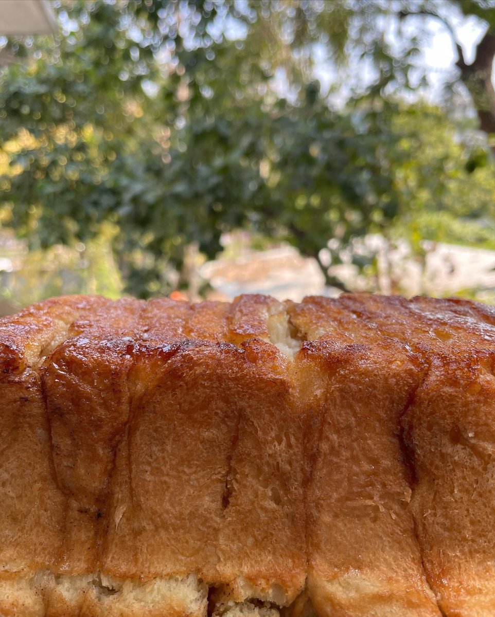 deepabuty's tweet image. Cometh a warm day and bread baking becomes so much more delightful. Celebrating the Sun and all those warm things around! ❤️ #applecinnamonbread 🍎🍞🥮 #pullapartbread #joysofbaking #sunnyday #Sunday #loveandwarmth #the_dough_bowl 👩🏻‍🍳💖☀️✨