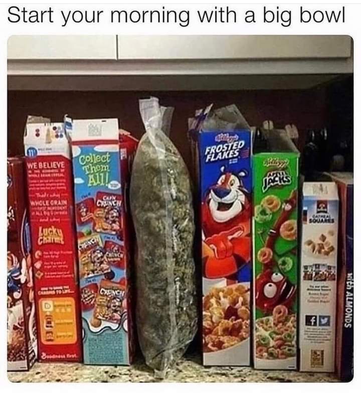 Mc_Sexy's tweet photo. Wake and bake? https://t.co/GtjgrhiFHv