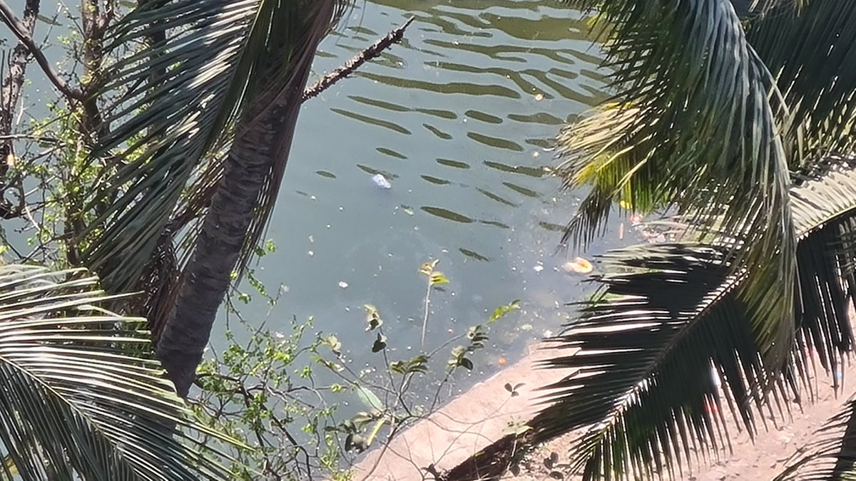 RohanPradhan198's tweet photo. सदर तलावाच्या बाजूला निरमाल्या साठी  कुठलीच सोय सुविधा नसल्या मुळे नागरिक निरमाल्य तलावत टाकतात. तसेच  तलावतील  ऑक्सिजन circulation पण चालू  नाही त्यामुळे तलाववातील  जीवांचे आरोग्य धोक्यात आले आहे.@TMCaTweetAway @TMCsmartcity @itsshyam85 @sagar @DigiThane https://t.co/9z5IAOY98C