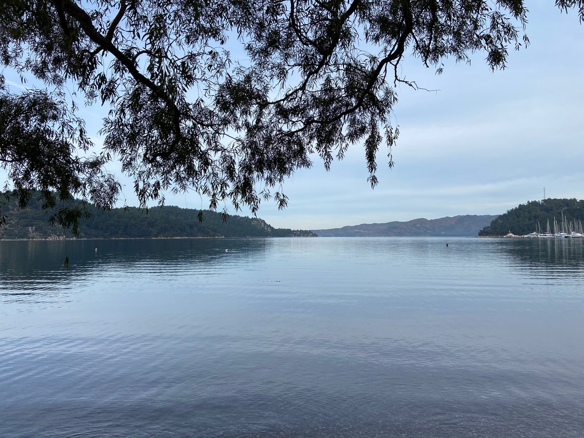 Bahara ne kaldı💜