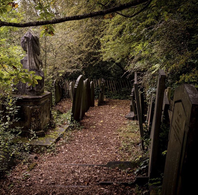 SheffieldGenCem tweet picture