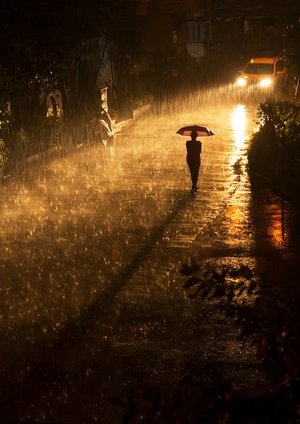 Alex00762690's tweet photo. The sound of Rain ...

© Sarmistha Bera https://t.co/QfwbsTFDGc