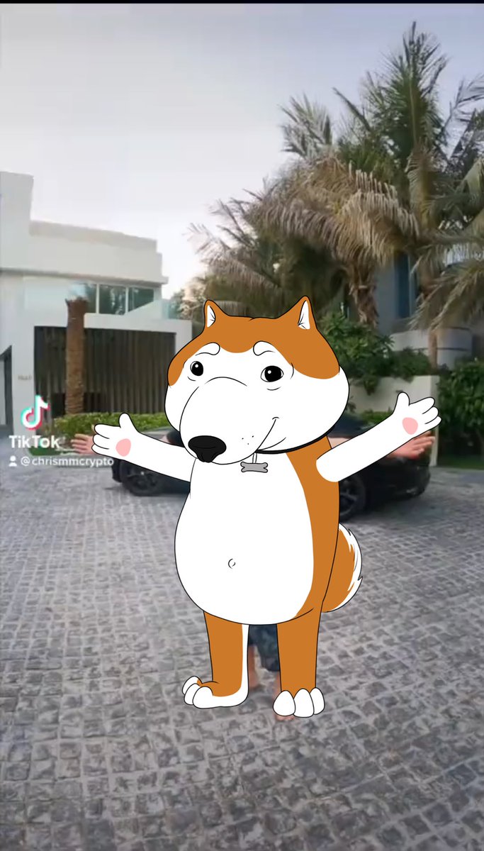 BEPIS_Token's tweet photo. @MMCrypto 4.5 years ago I was a Taxi Driver and now this — [pen*s lookin shiba inu dog] https://t.co/LYO88tGNzD