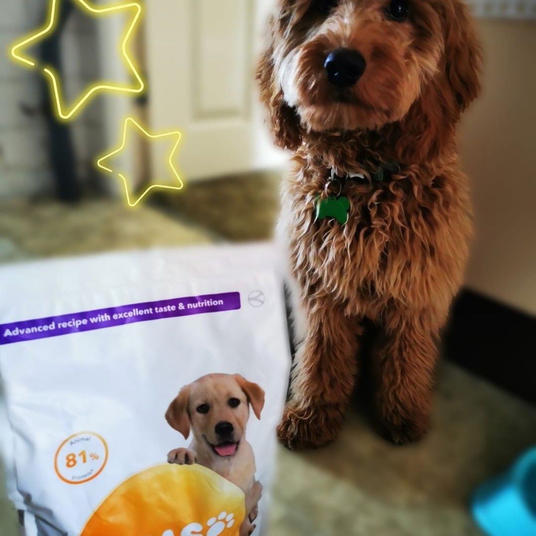 JemzyH's tweet photo. Cooper was really excited to receive this in the post https://t.co/LKFBJz5hgM https://t.co/qGSHX0BQDs