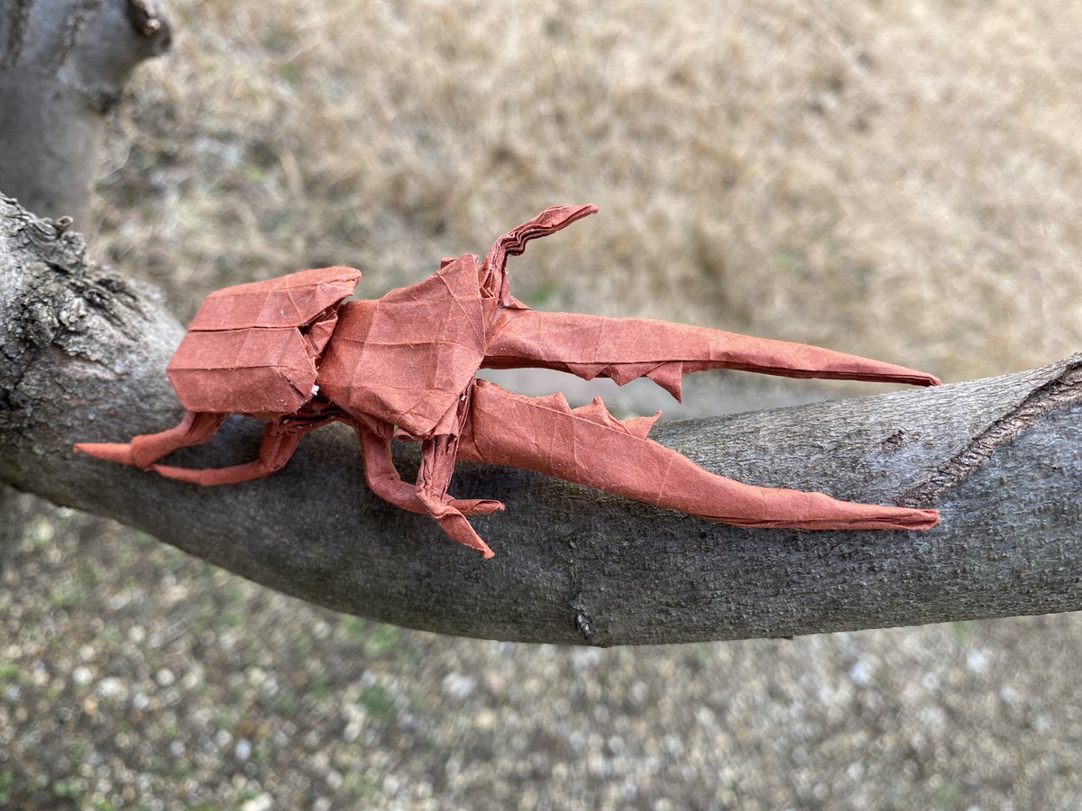 「メタリフェルホソアカクワガタ」
創作：神谷哲史さん

#折り紙作品