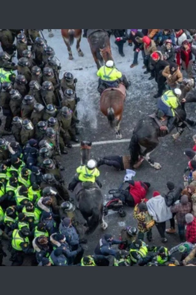 TheAshkenazi's tweet image. Canada #ottawa #justintrudeau #Freeland #SteveBell #r4today 
They Really are Nazis #AshkenaziMafia