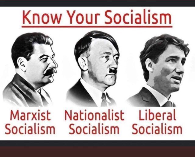 TheAshkenazi's tweet image. Canada #ottawa #justintrudeau #Freeland #SteveBell #r4today 
They Really are Nazis #AshkenaziMafia