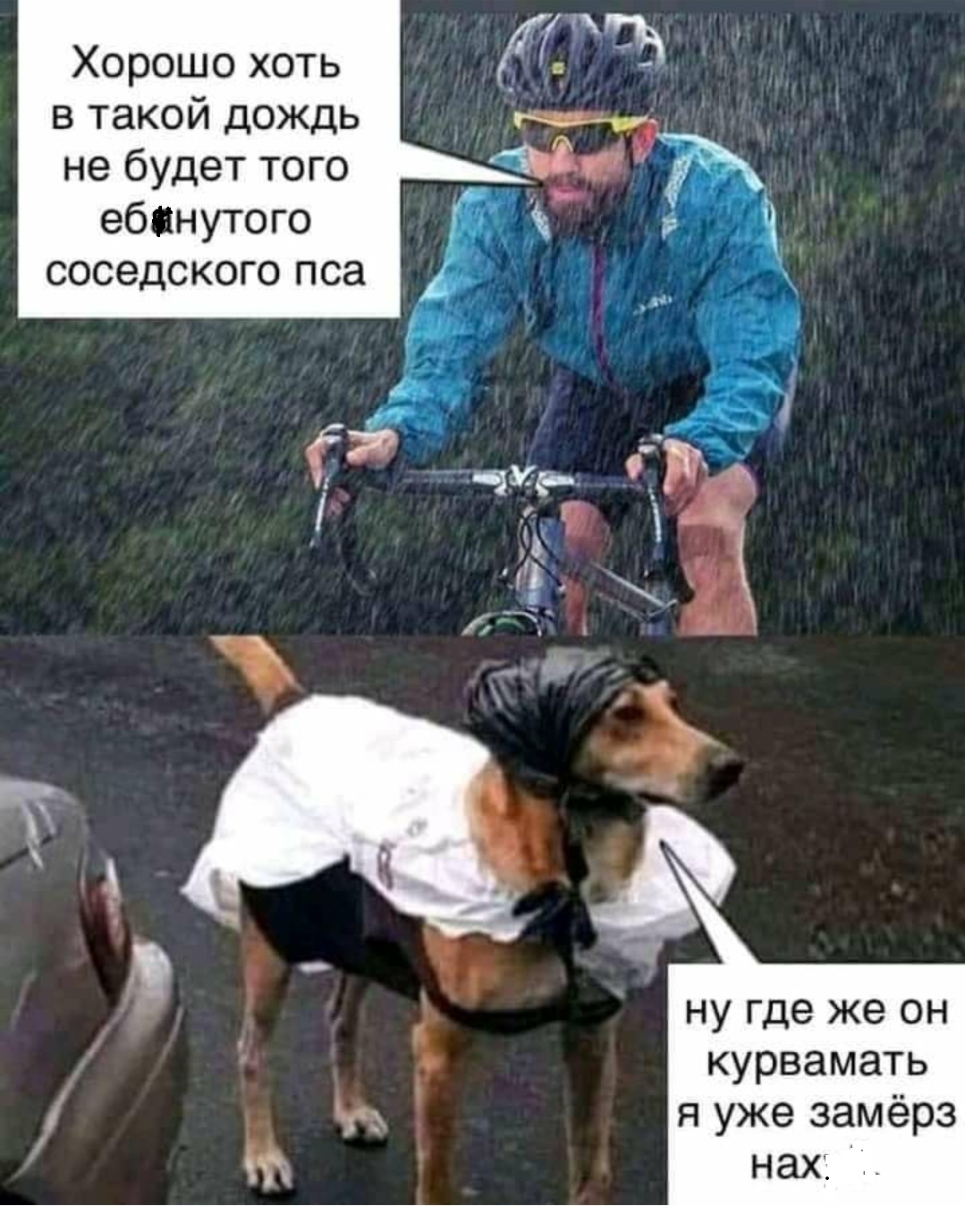 Добрый юмор в картинках с надписями самые смешные