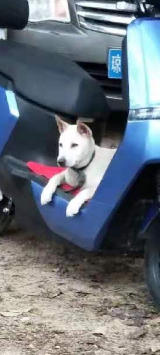 <a href="/Imaginary_Ones/">Imaginary Ones | Bubio.ai</a> My doggie said he loves it so much!!! And he said if I don't get it, he wilI never talk to me. *sad* I need to get WLs in case my dog leave me...