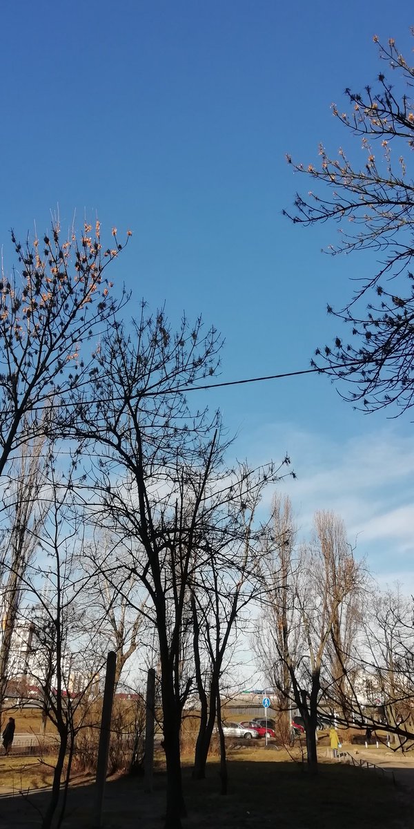 oturlyuno's tweet photo. Погуляли со Светой. Дольку выгуляли. Ветер холодный, а так прям весна. Солнечно и не сыро. Прошел сегодня круг за один час. Прям не привычно, что раньше домой пришел.
В целом один раз прогулку пропустить - ничего страшного. На скорость не влияет. Дальше будем видеть. https://t.co/gsluRPRIKv
