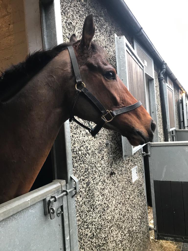 iainrobertson5's tweet photo. Itโs back to @MusselburghRace with Bob today for @MikeSmithRacin1 with @mania450 on board,be tough conditions today,๐ค๐ค for a good safe run #gobobgo #comeracing https://t.co/C6WOlu1LXU