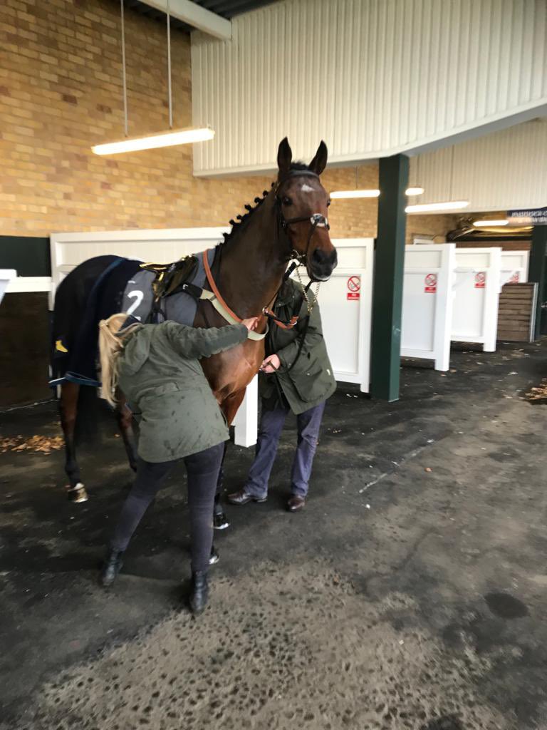 iainrobertson5's tweet photo. Itโs back to @MusselburghRace with Bob today for @MikeSmithRacin1 with @mania450 on board,be tough conditions today,๐ค๐ค for a good safe run #gobobgo #comeracing https://t.co/C6WOlu1LXU