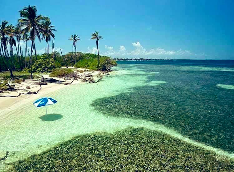 GianlucaCoccon1's tweet photo. Paradisíaco…
Cayo MUERTO, Parque Nacional Morrocoy …Edo Falcón VENEZUELA 🇻🇪🇻🇪🇻🇪🇻🇪🇻🇪🇻🇪🇻🇪🇻🇪🇻🇪🇻🇪🇻🇪🇻🇪 https://t.co/MNxtU8davG
