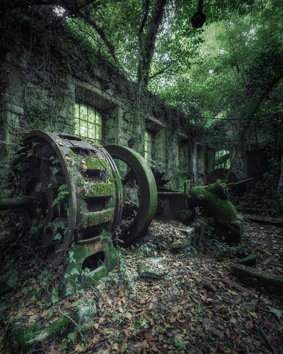 “Biomass”

Very old, very abandoned turbine room for a ruined mill
Taken in Italy 
#Italy #abandoned #abandoneditaly
<a href="/WorldAbandoned/">World Abandoned</a> <a href="/abandoned_pics/">تصميم سيره ذاتيه | CV</a> <a href="/AbandonedPlace/">abandoned places</a> #heritage #Italian #photooftheday #photographylovers <a href="/DPhotographer/">Digital Photographer Magazine</a> <a href="/NatGeoPhotos/">Nat Geo Photography</a> <a href="/latimesphotos/">L.A. Times Photos</a> <a href="/BBCPhotos/">BBC Photo</a>