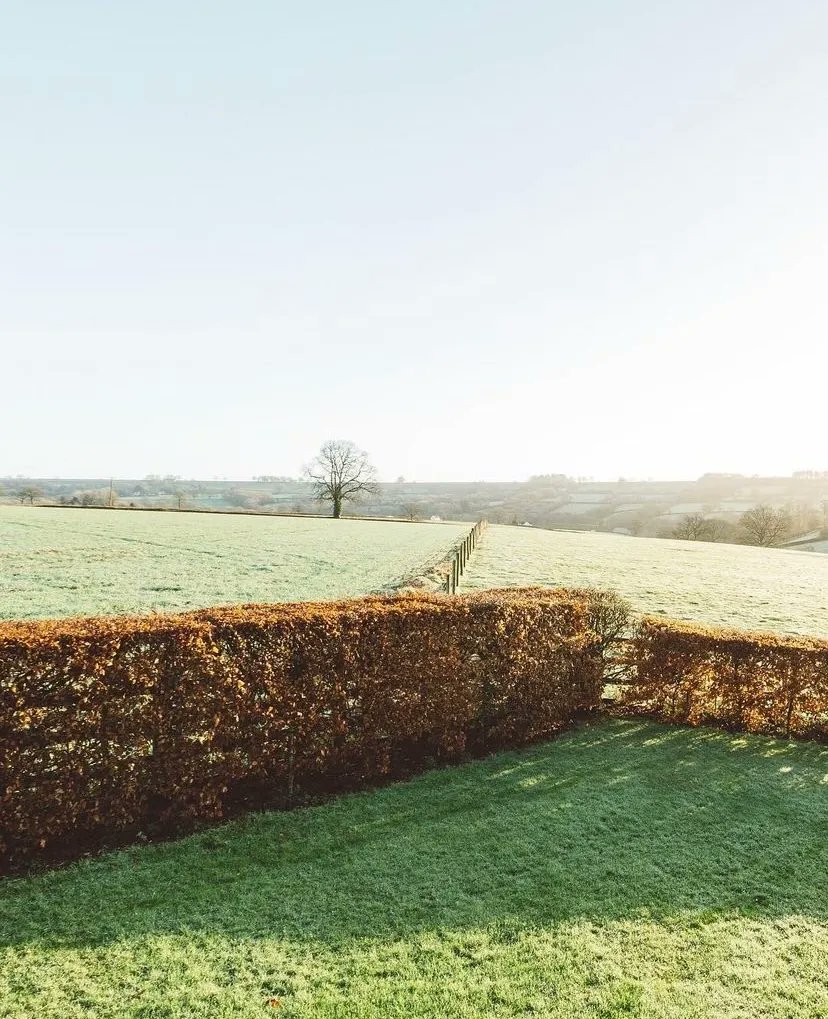 Sundays are for slow mornings, wrapping up warm and taking a long walk through the beautiful countryside we’re lucky enough to call home.