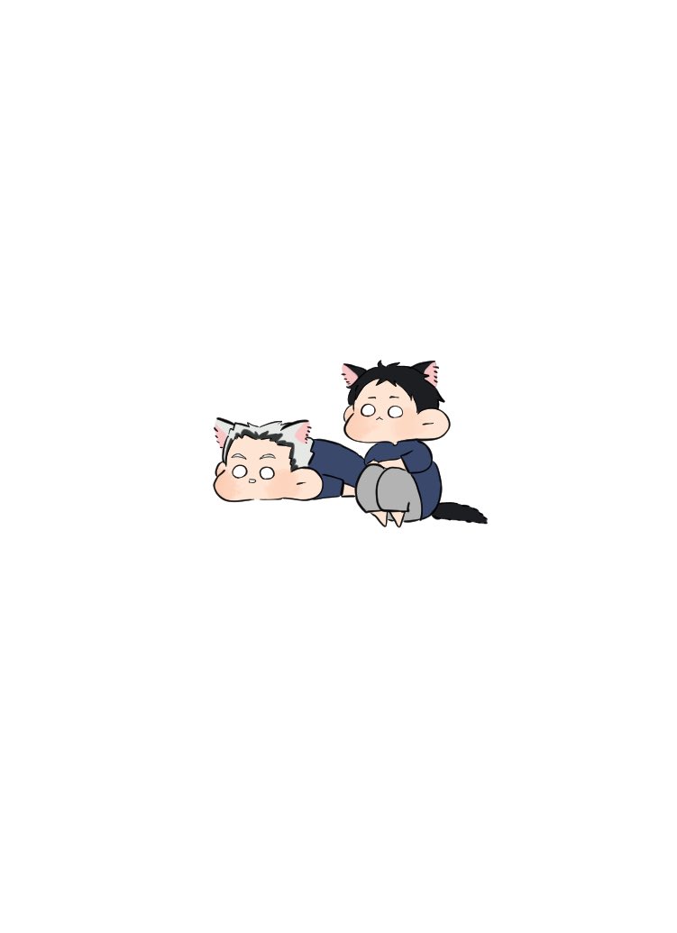 ハイキュー「猫の日まであと2日 #猫の日 #ハイキュー #haikyuu #イラスト 」|ぐで太郎。のイラスト