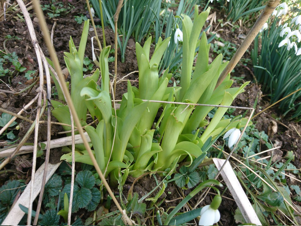 Langsam geht es los 😊😊