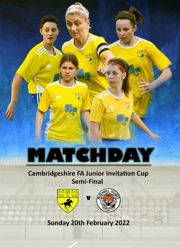 Newmarket Town Women tweet media