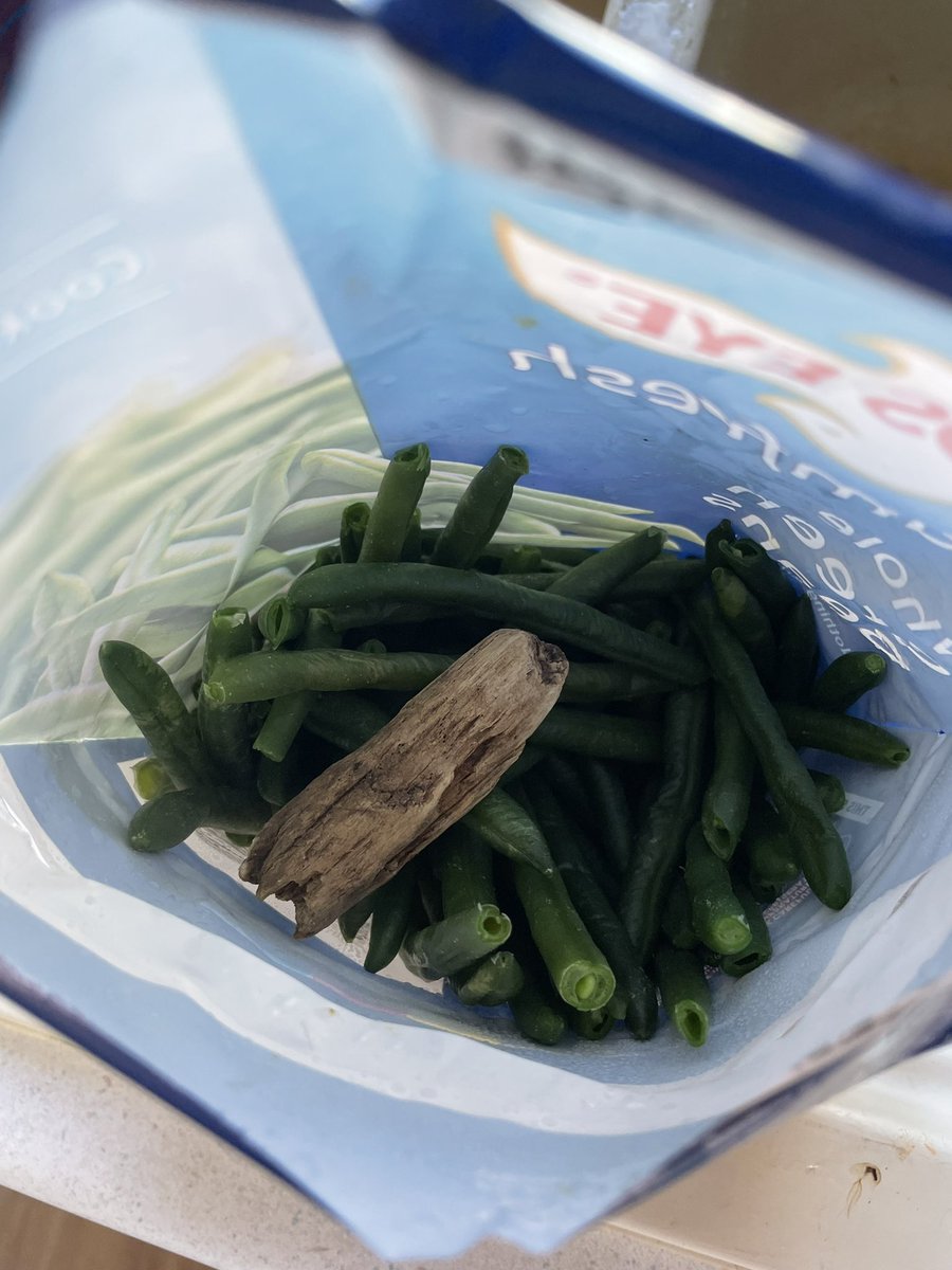 Well this was a weird surprise…. <a href="/BirdsEye/">Birds Eye</a> pretty sure that chunks of wood can’t pass as green beans but good try? 😅