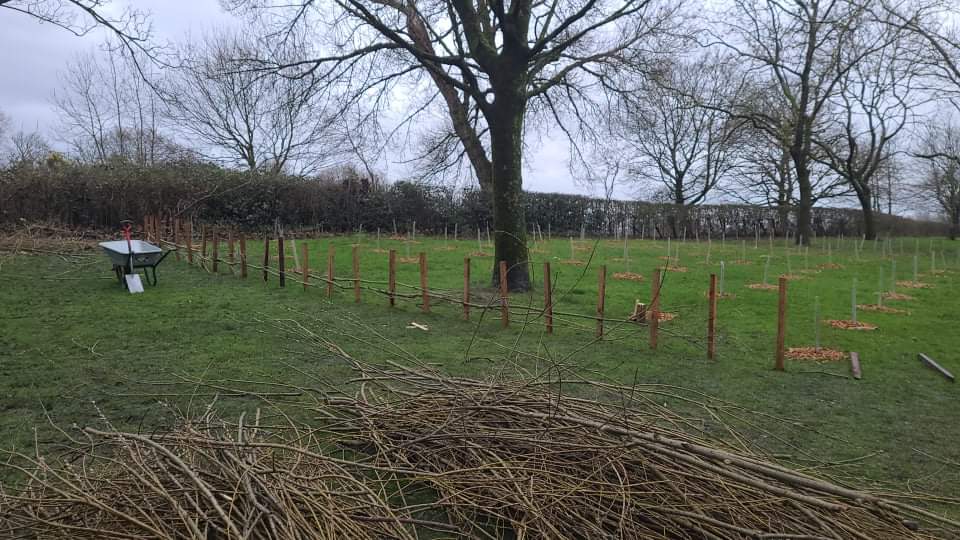 BuileHillMA's tweet photo. What a great session and luckily the weather stayed dry for us 😊

Thanks to @SalfordWildlife for  supporting the event, helping us collect the willow along with our volunteers and for arranging the fence posts. https://t.co/RySpzA70OB