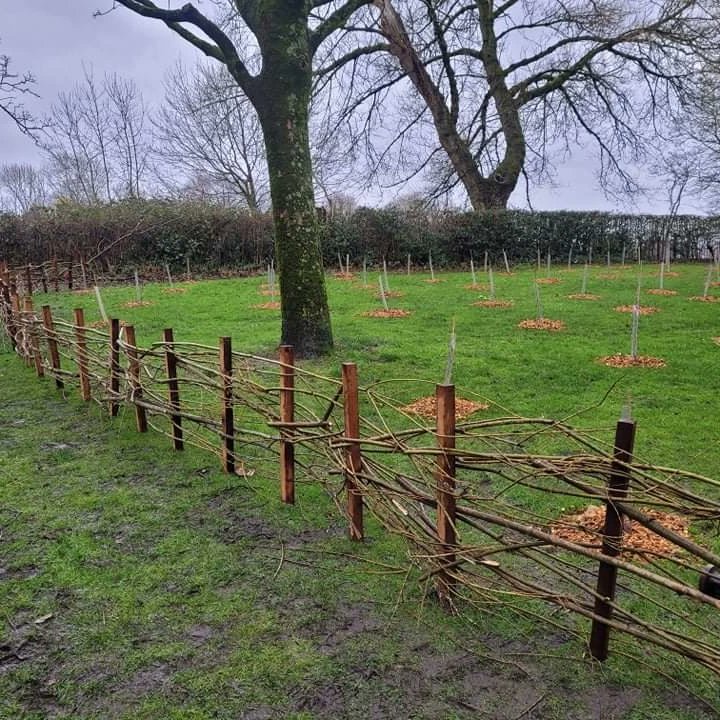 BuileHillMA's tweet photo. What a great session and luckily the weather stayed dry for us 😊

Thanks to @SalfordWildlife for  supporting the event, helping us collect the willow along with our volunteers and for arranging the fence posts. https://t.co/RySpzA70OB