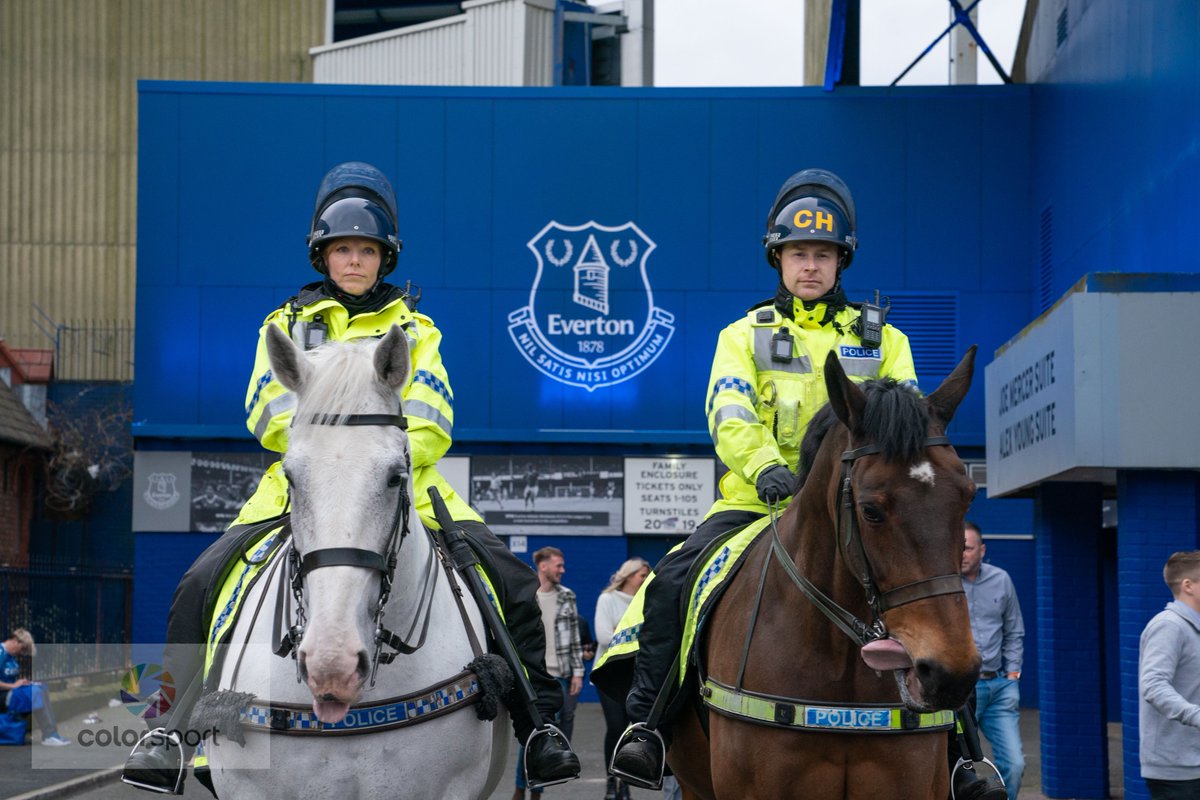 Merseyside Police Horses Silver and Jake #standingtall at @Everton v @LUFC @premierleague match, with #phJake pulling tongues for the camera as usual. @SonyUK #A9 #alpha1 #gmaster #alphapro @merseymountedpc #phsilver