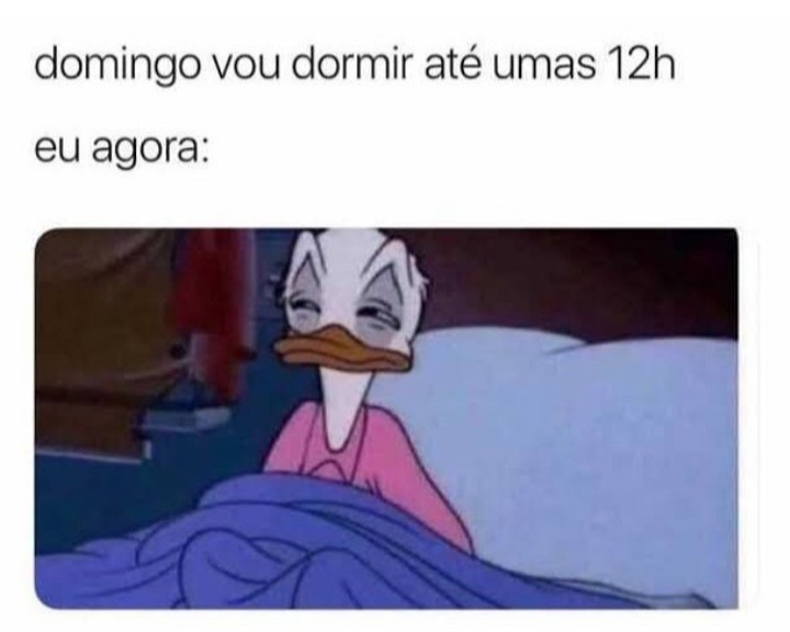 Legenda: domingo vou dormir até umas 12h
eu agora: O Pato Donald acordado com os olhos pouco abertos de sono. 
Via <a href="/soldadoferido/">Soldado Ferido</a>

#MemesAcessíveis