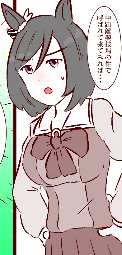 記憶が確かなら...多分適性サイズ 
