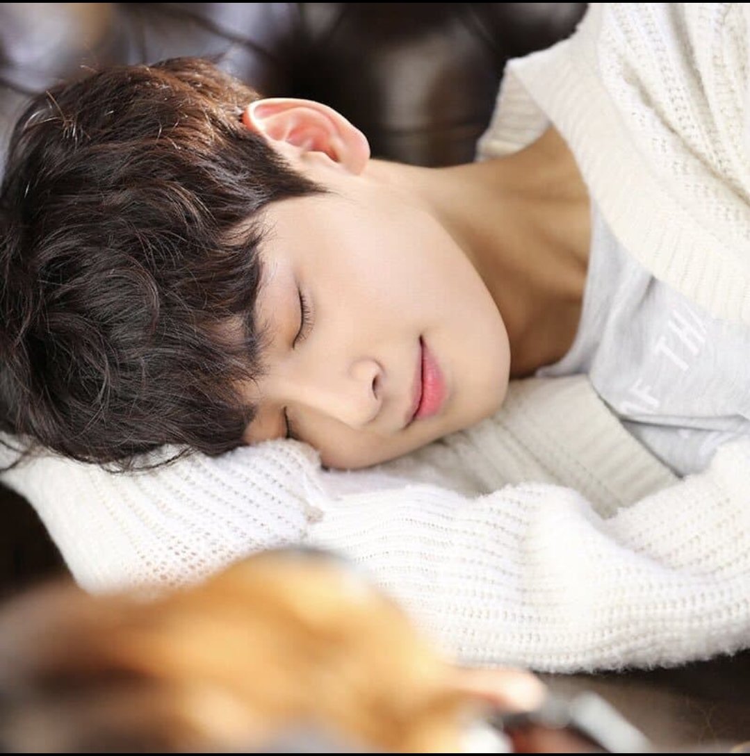 корейские спящие