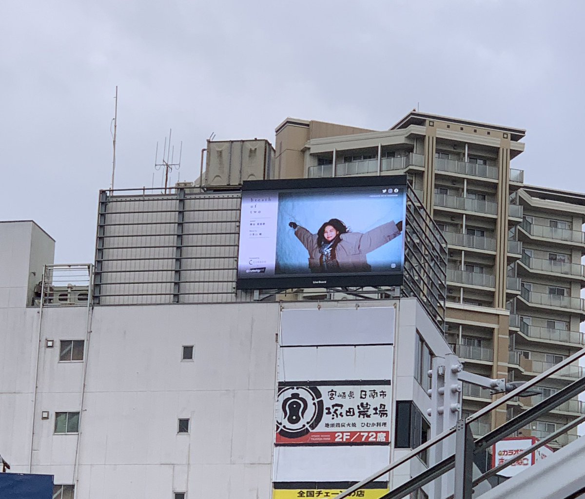 pikapixdex's tweet photo. 遠すぎ高すぎでんちゃん https://t.co/4iab7xLnBl