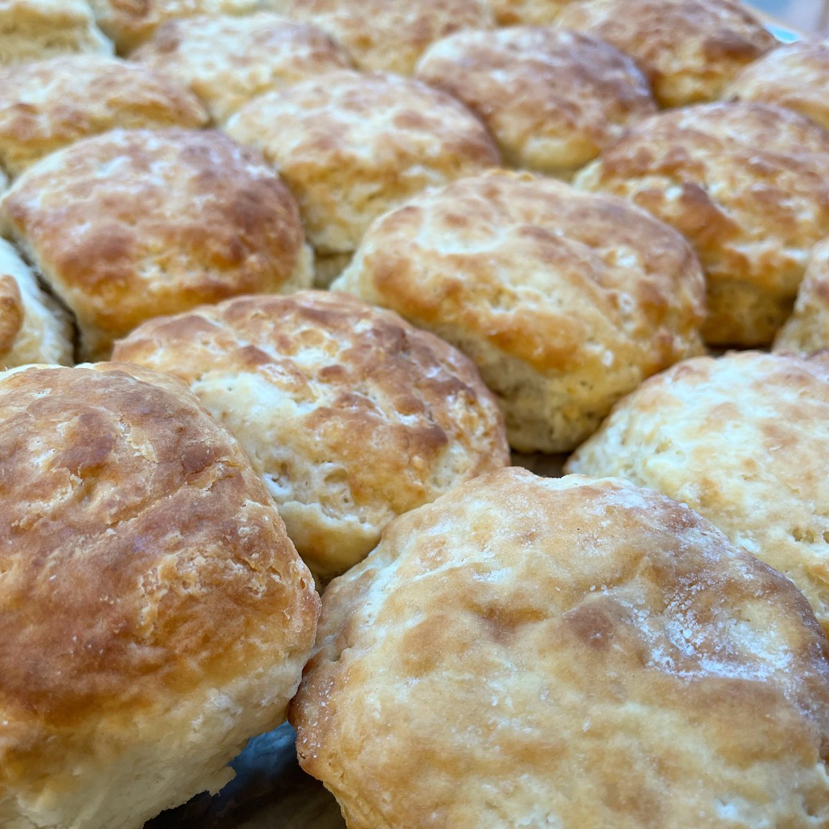 eatdimestore's tweet photo. What up, dough? We have fresh, housemade biscuits everyday. 

✨Pro-tip: Substitute toast or an English muffin for a biscuit. You won’t regret it.

#detroit #detroitfood #detroitrestaurants https://t.co/VPlR3WS7e7