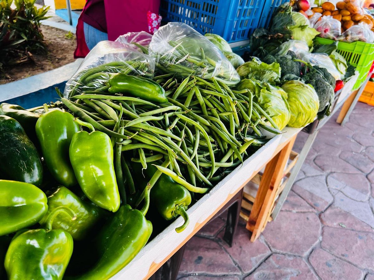 SantoTomassv's tweet photo. Ven y disfruta de los productos frescos y de calidad que nuestros agricultores tienen para ti. 

🥬🥕🍅🫑🧅

Consume producto local #SantoTomásLoNecesita https://t.co/8hU7GNAMNm