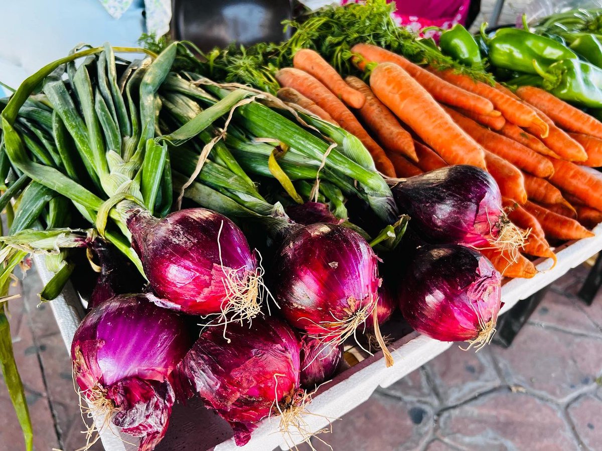SantoTomassv's tweet photo. Ven y disfruta de los productos frescos y de calidad que nuestros agricultores tienen para ti. 

🥬🥕🍅🫑🧅

Consume producto local #SantoTomásLoNecesita https://t.co/8hU7GNAMNm