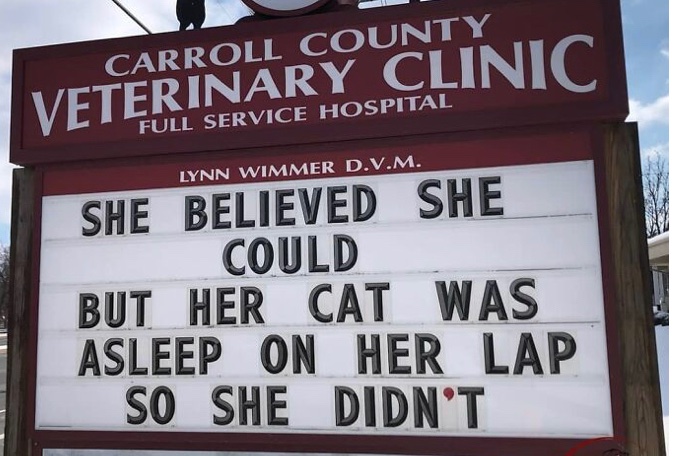 Cat Food Breath tweet media