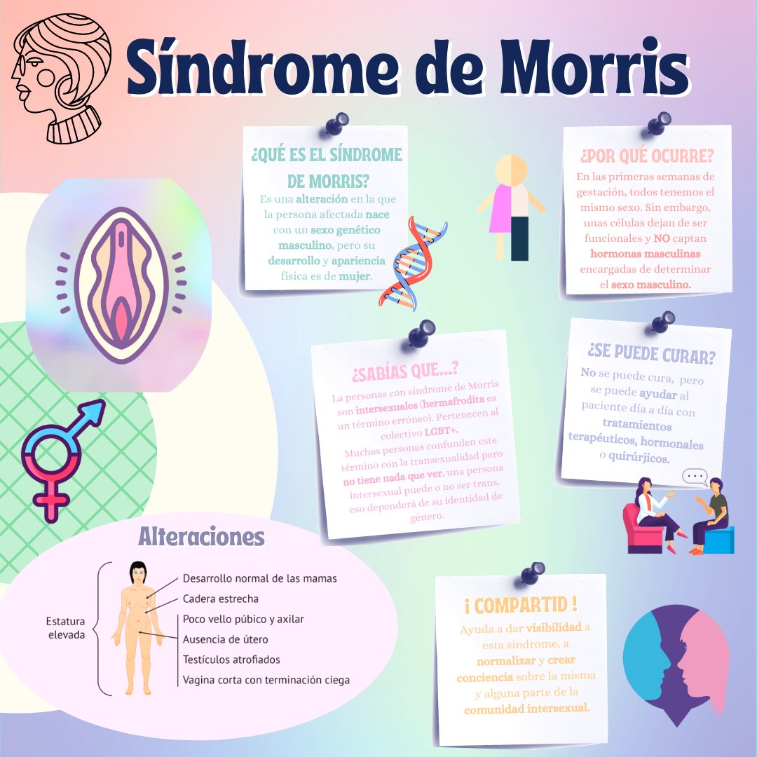 Sindromedemorris tweet media
