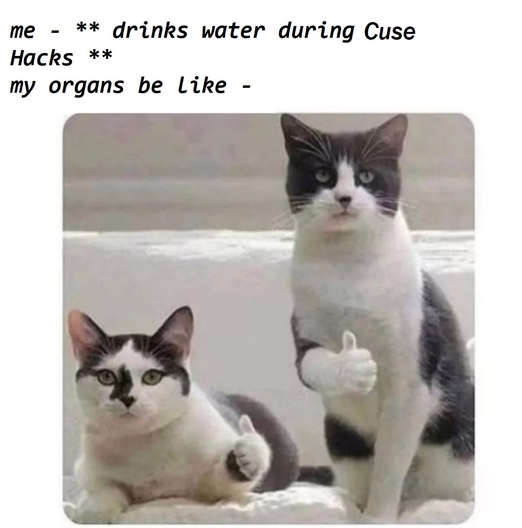 MLHacks's tweet photo. The @cusehacks meme channel is super active, check out this one from @Riya837311571 Make sure to hydrate this weekend! #cusehacks https://t.co/teaM12Lm5H