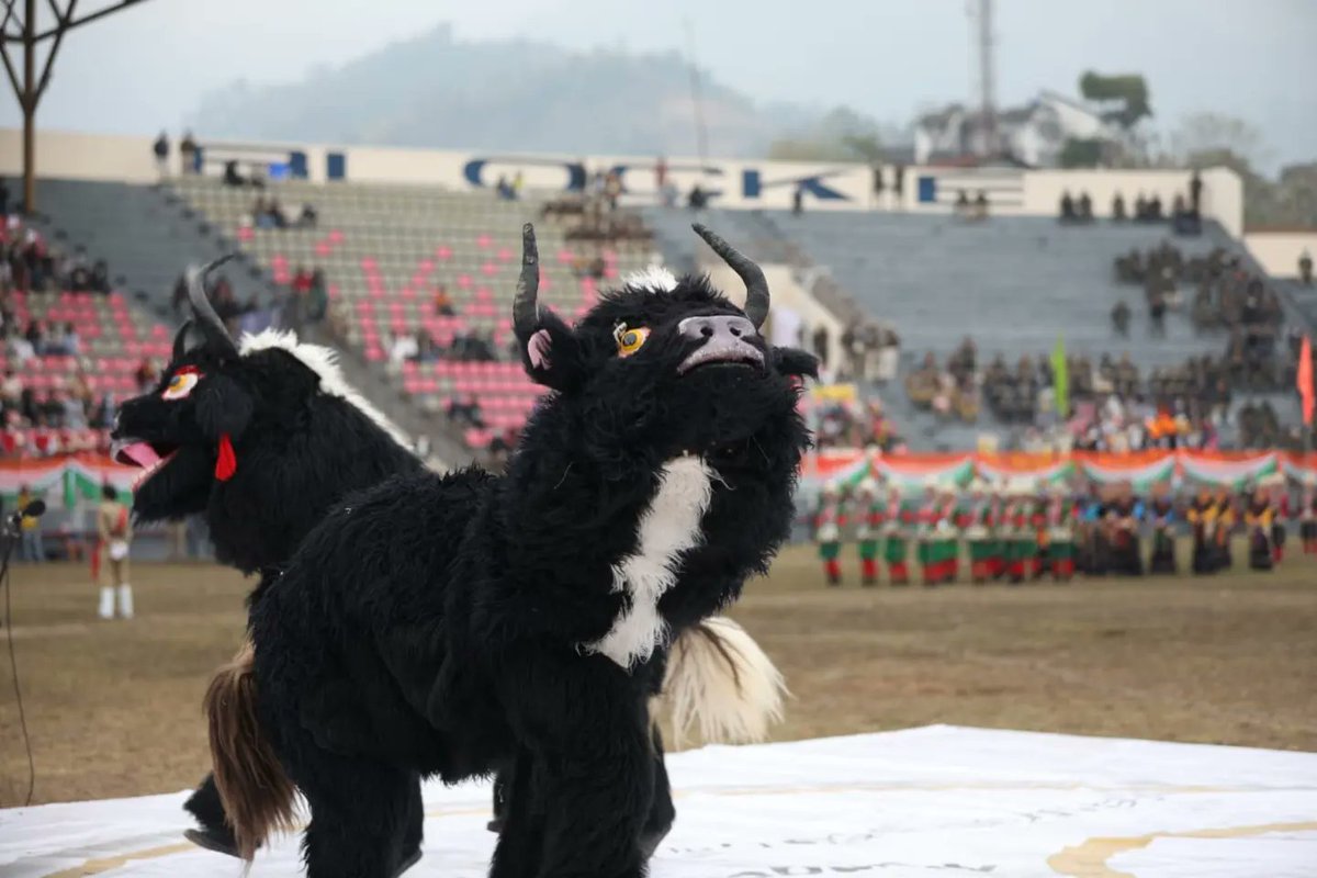 50yearsofAP's tweet photo. Glimpses of the Cultural Presentation from Folk Troupes today morning at the Yupia Stadium as part of our Golden Jubilee Celebration.

If you missed the morning show, you can still join us for the Night Fiesta tonight!!
@ArunachalDIPR 
@MyGovArunachal https://t.co/w5fvQPjWub