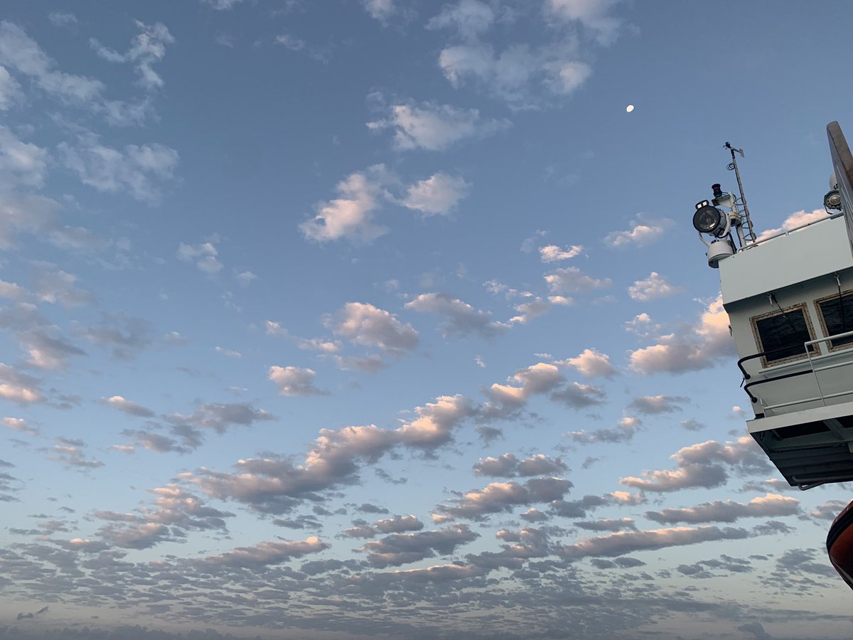 Good morning from the #Gofar transform ☀️