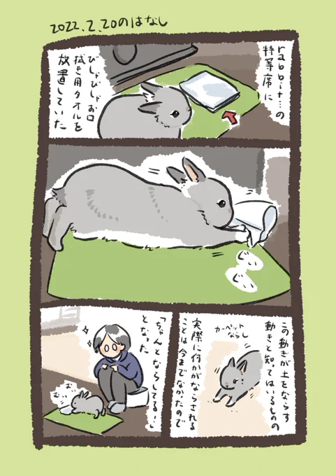 今日のrabbit…
#うさぎのいる生活 