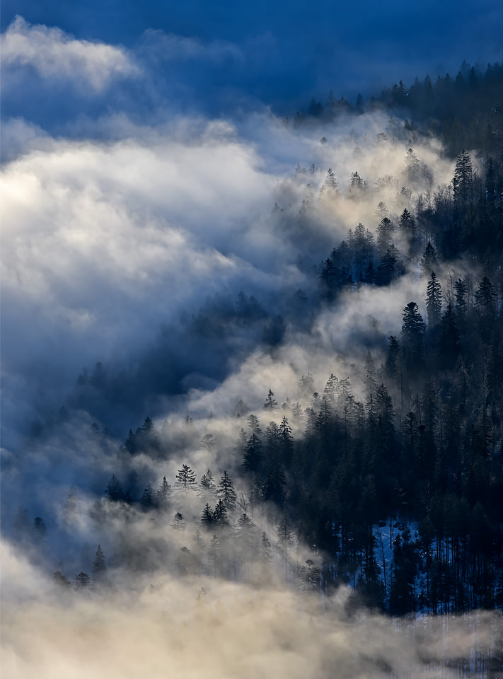 "Morning Forest"

Recently, in the Bavarian jungle.
Very bad photo conditions. Everywhere you looked, only trees and fog. Not a single iceberg! 😅 

HD: time-for-inspiration.de/random-favouri…

#bavaria #forest #grosserarber #NaturePhotography #landscapephotography #winter #fog