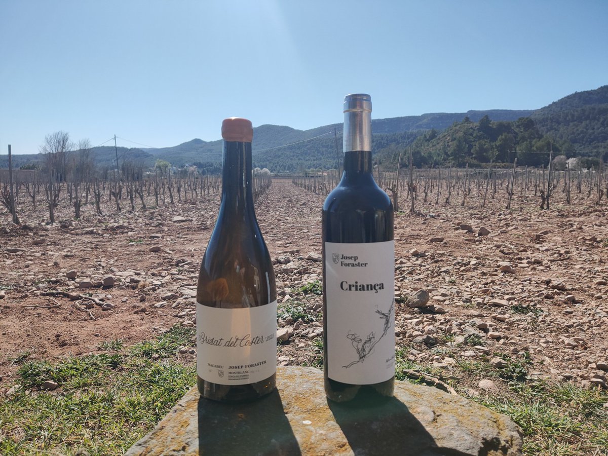 yetigris's tweet photo. Pues eso...bodegueando...
#Montblanc #JosepForaster https://t.co/t3fg85fHuW