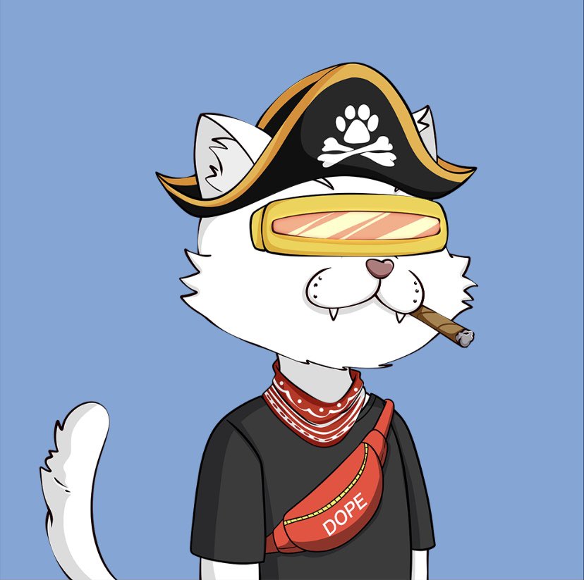 RL_Bry's tweet photo. @Arom77001004 @Dope_Cats https://t.co/GAKkvB7OMq