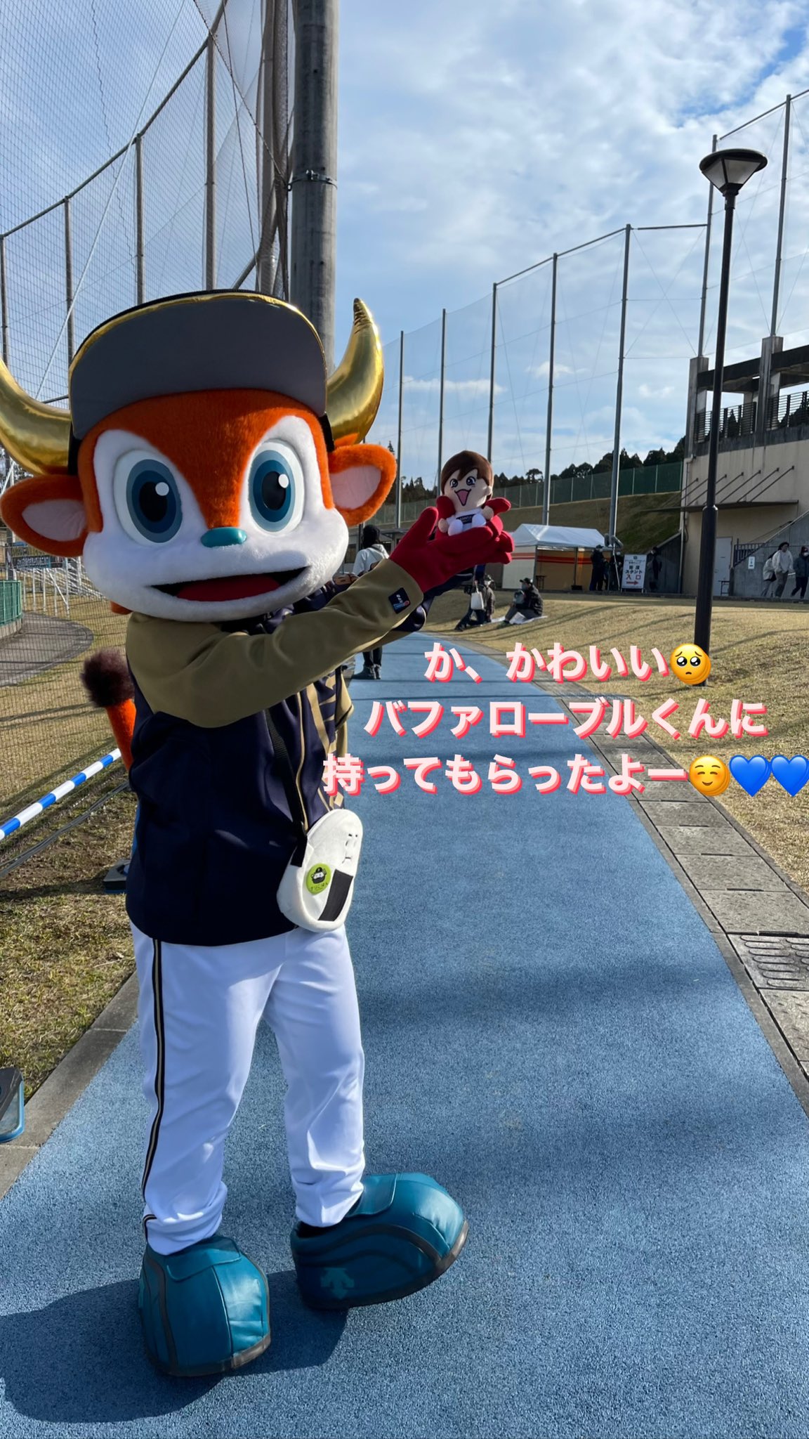 ポイントキャンペーン中 藤原丈一郎 ちびぬい | kinderpartys.at