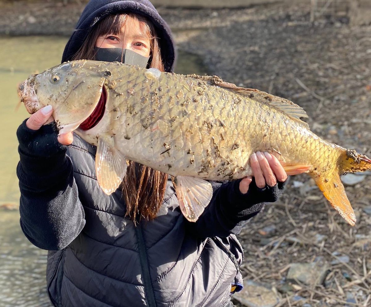 マコキンことちょこまこ🍫です。 tweet media