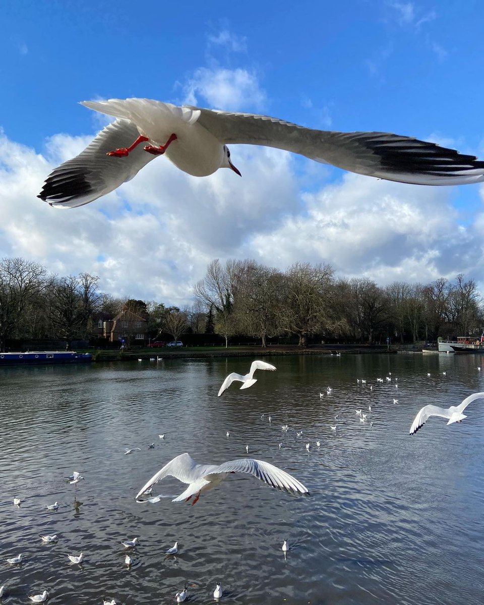 Woah - awesome shot from the riverside. 

📸 @carettanotes
