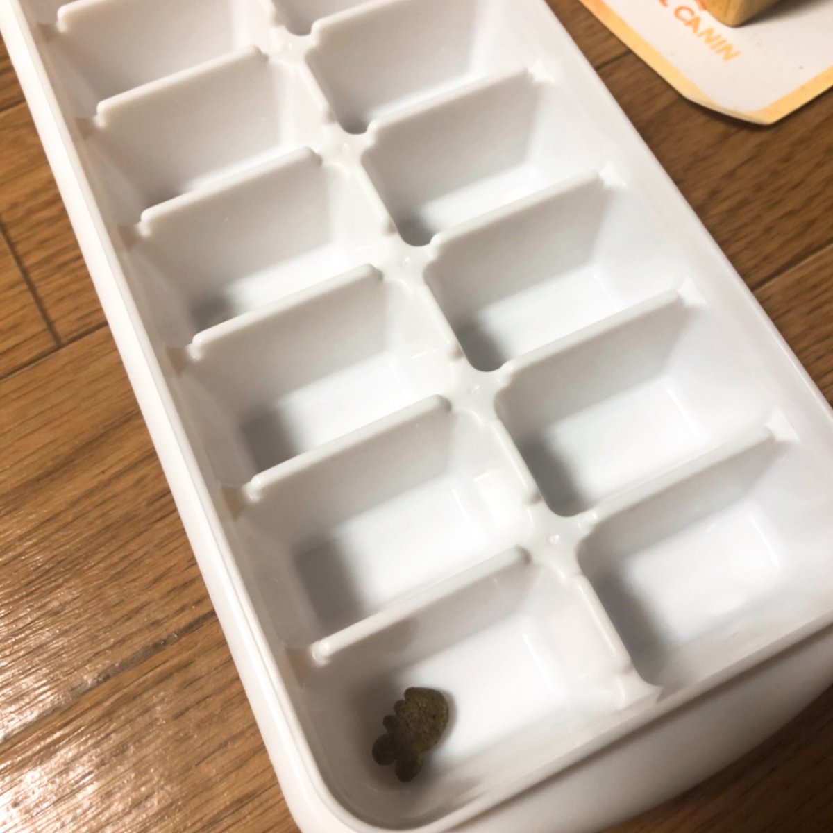 100均の製氷トレーは猫のお手軽な知育トイにもなるよ という動画がこちら かわいいｗ 早速やってみた人も Togetter